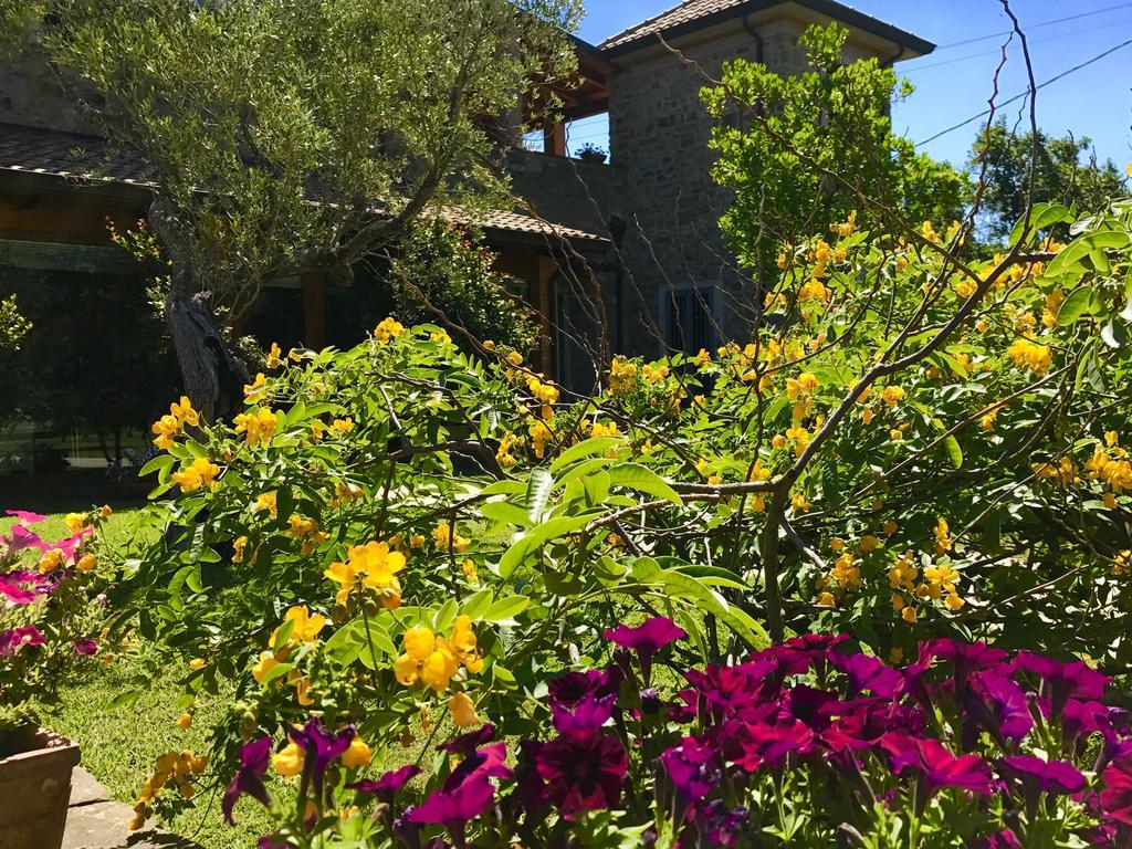 Casa Vacanze Il Cenito カステッラバーテ エクステリア 写真